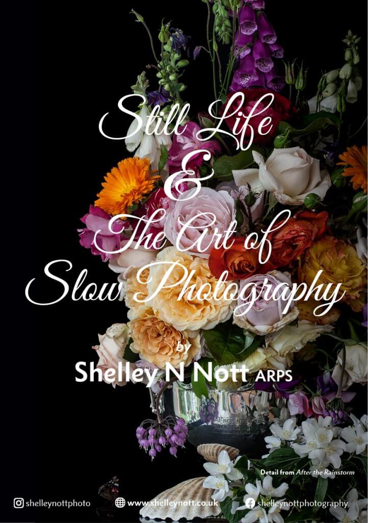 still life and the arto f slow photography poster